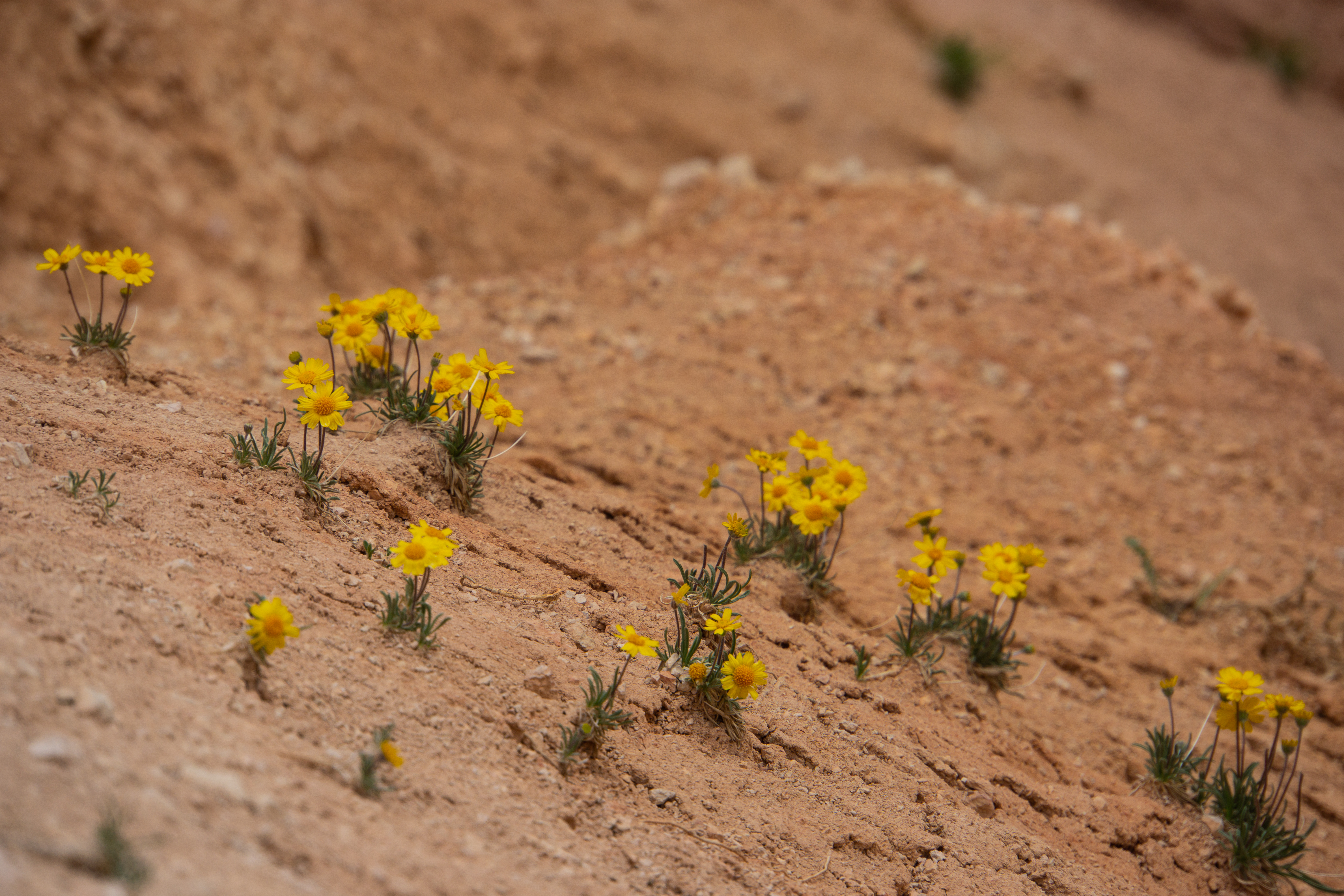 US National Parks 2022 3